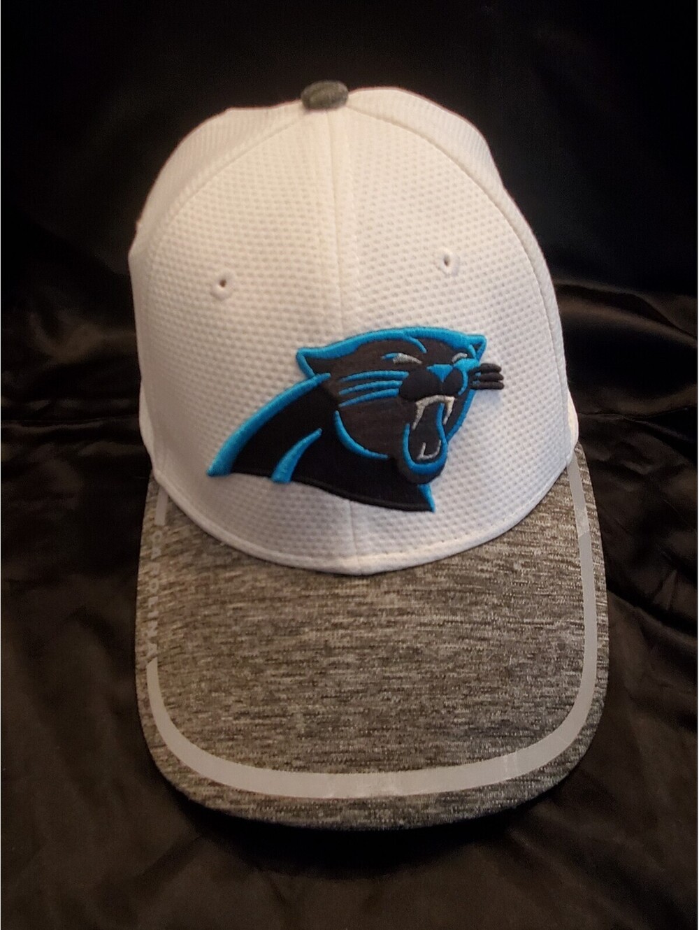 Panthers Nike Hat